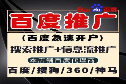 成功案例：网络推广与竞价广告的完美结合